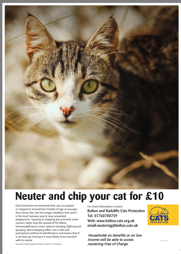 How Much Is It To Get Your Cat Neutered Uk Cat Lovster